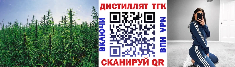 Дистиллят ТГК вейп  Купить где  Аргун 